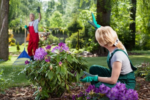 Professional gardener trimming a large hedge