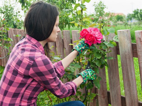 Professional clearing garden debris