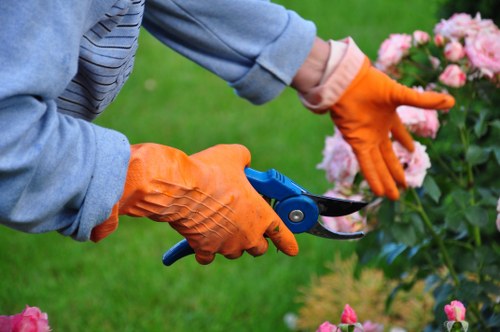 Various hedge trimming tools displayed