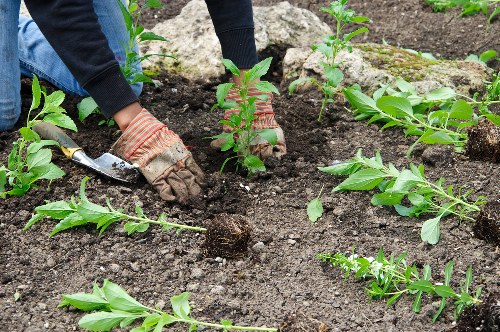 Tools used for garden clearance