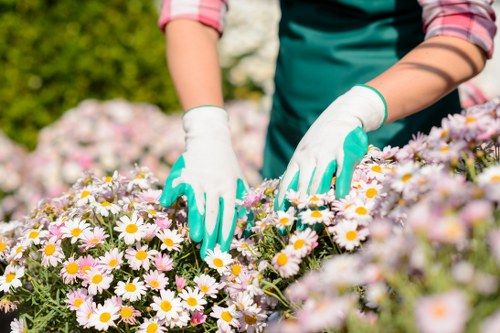Beautiful flourishing garden showcasing sustainable practices