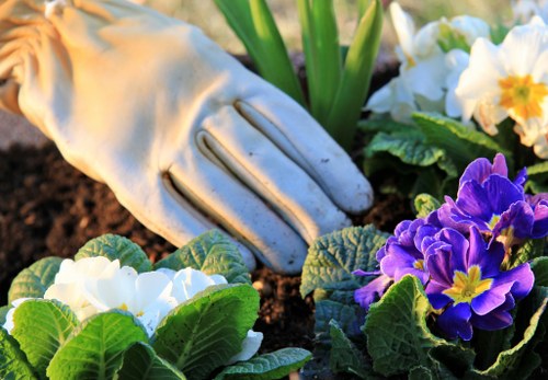 Training and continuous improvement for gardening safety