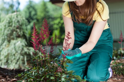 Seasonal lawn mowing in summer with even grass cut