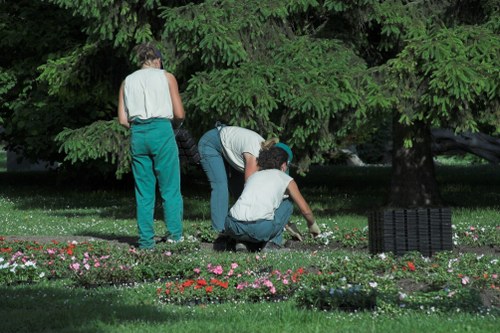 Lush green lawn with proper mowing and fertilization techniques.