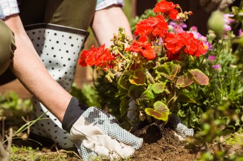 Advanced gardening techniques in action