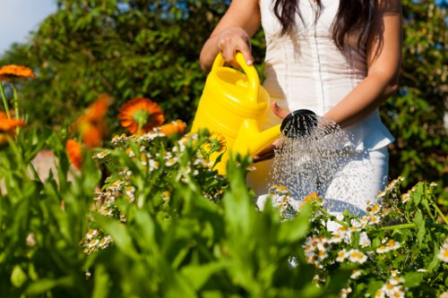 Eco-friendly lawn mowing practices with a mulching mower