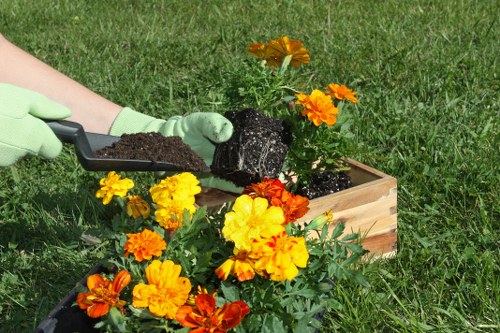 Sustainable landscape garden with native plants and eco-friendly features