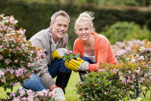 Sustainable garden elements with native plants and efficient irrigation